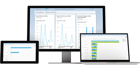 SAP B1：為新材料企業(yè)引領未來帶來豐盈收益