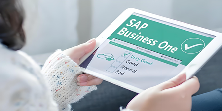 SAP B1 水晶報(bào)表打印格式，預(yù)覽時(shí)系統(tǒng)崩潰